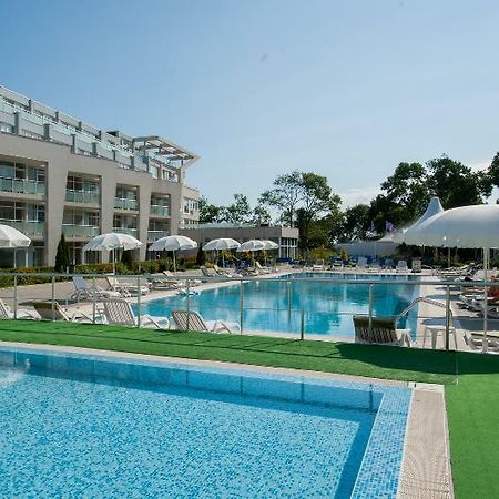 Black Sea Star Черноморец Экстерьер фото
