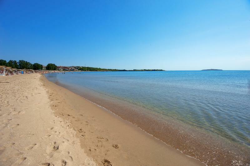 Black Sea Star Черноморец Экстерьер фото